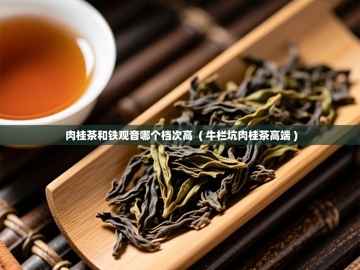 肉桂茶和铁观音哪个档次高 ( 牛栏坑肉桂茶高端 ) 肉桂茶和铁观音哪个档次高 ( 牛栏坑肉桂茶高端 )