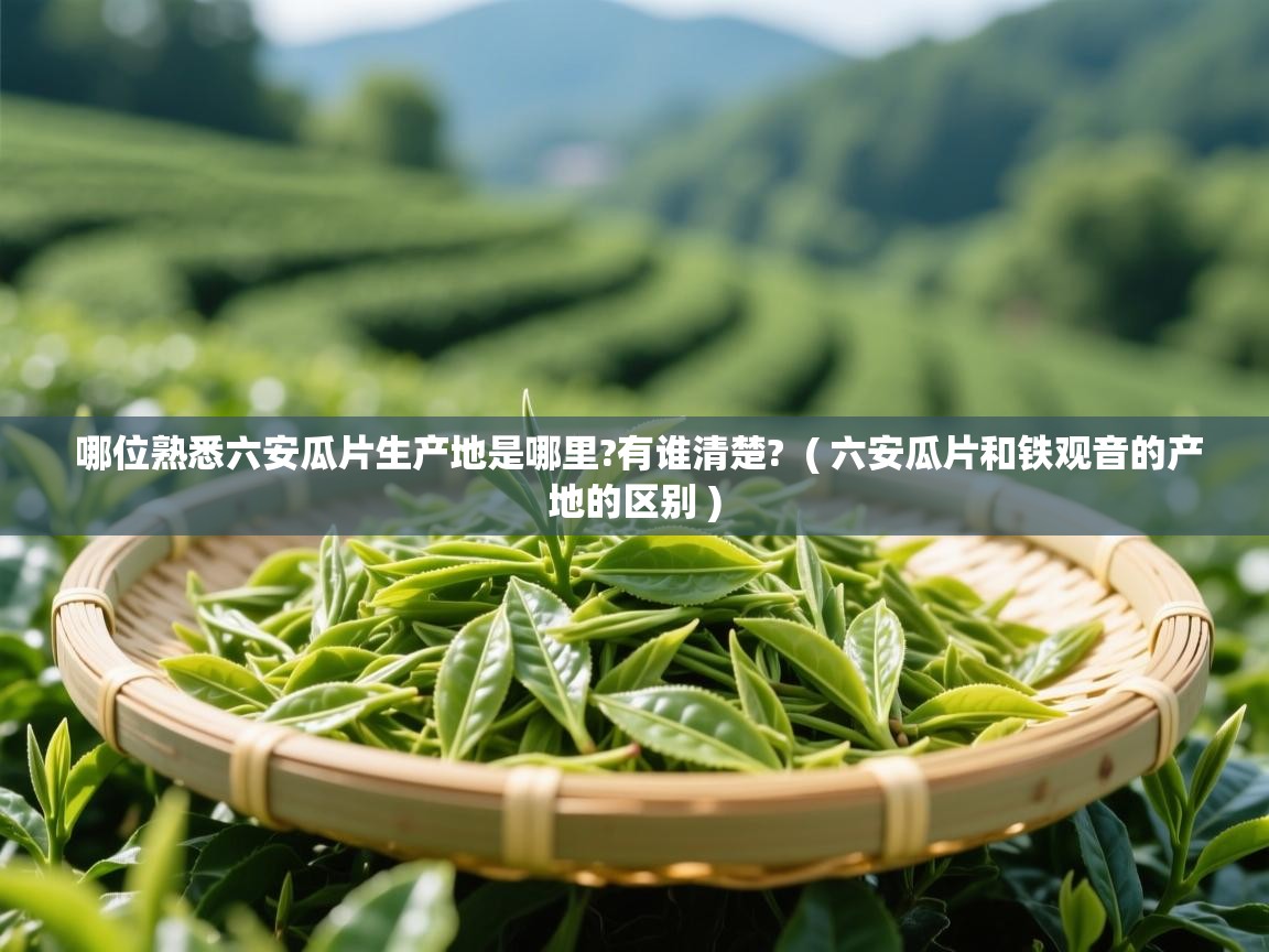 哪位熟悉六安瓜片生产地是哪里?有谁清楚? ( 六安瓜片和铁观音的产地的区别 ) 哪位熟悉六安瓜片生产地是哪里?有谁清楚? ( 六安瓜片和铁观音的产地的区别 )