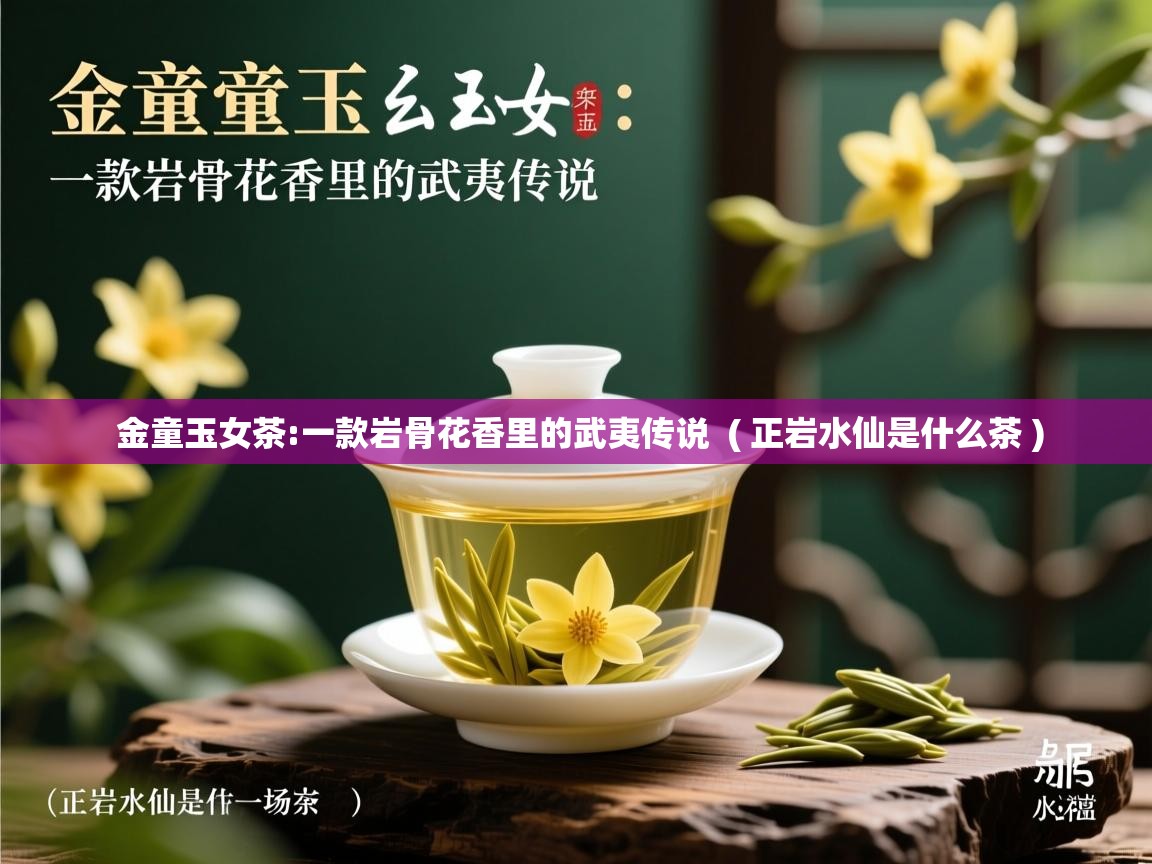  金童玉女茶:一款岩骨花香里的武夷传说  ( 正岩水仙是什么茶 )