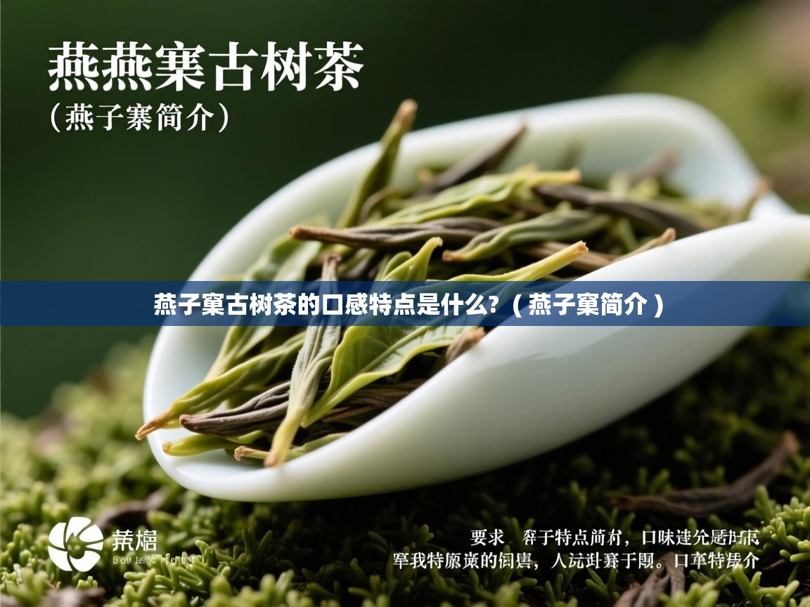 燕子窠古树茶的口感特点是什么? ( 燕子窠简介 ) 燕子窠古树茶的口感特点是什么? ( 燕子窠简介 )