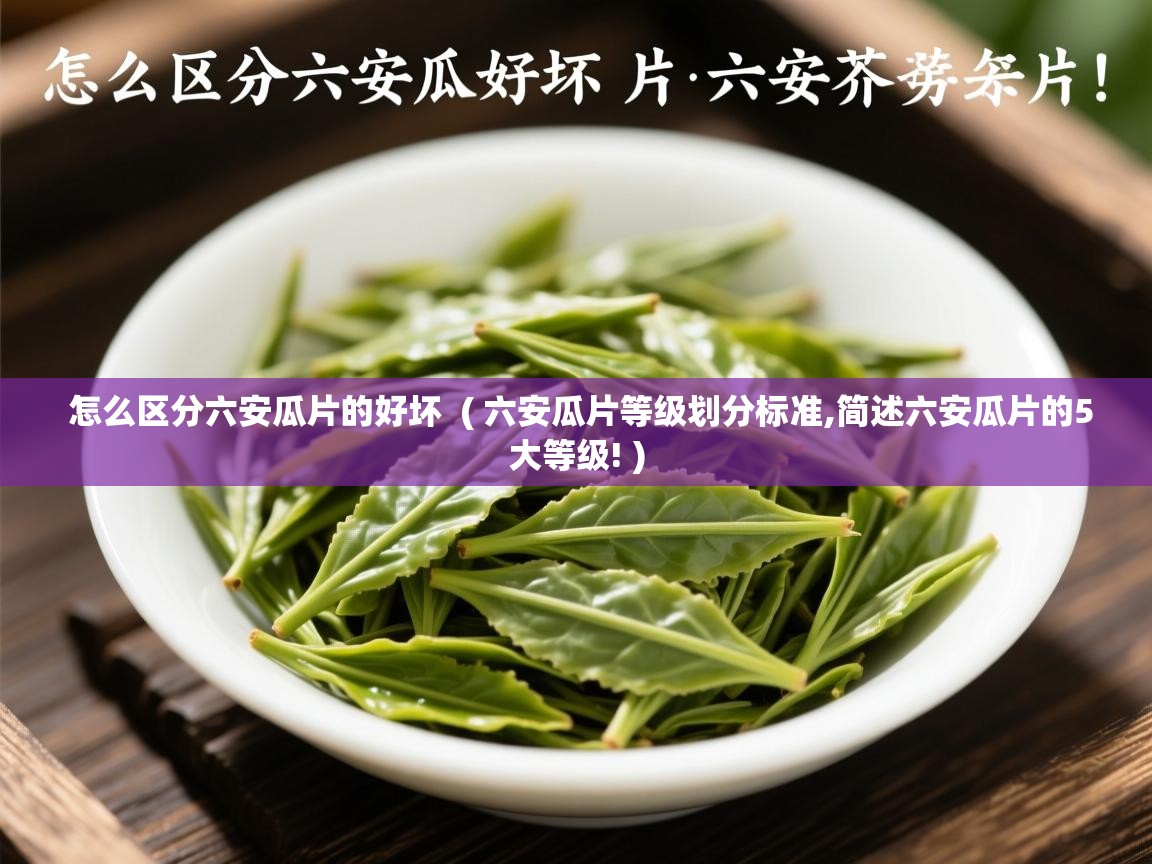 怎么区分六安瓜片的好坏 ( 六安瓜片等级划分标准,简述六安瓜片的5大等级! ) 怎么区分六安瓜片的好坏 ( 六安瓜片等级划分标准,简述六安瓜片的5大等级! )