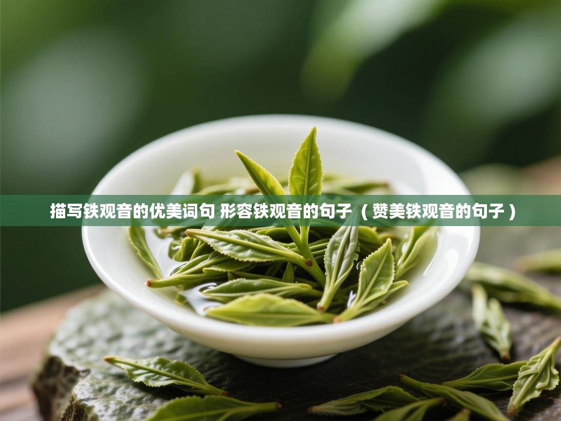 描写铁观音的优美词句 形容铁观音的句子 ( 赞美铁观音的句子 ) 描写铁观音的优美词句 形容铁观音的句子 ( 赞美铁观音的句子 )