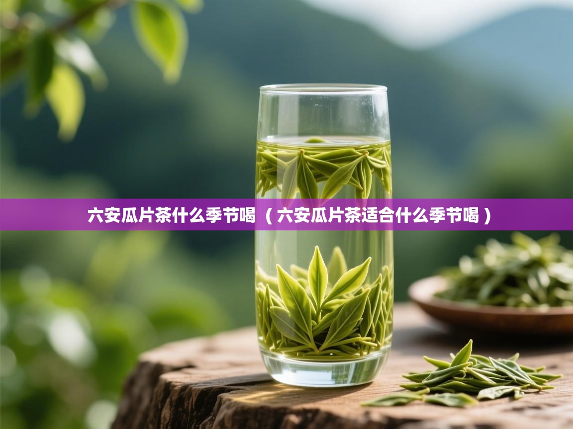  六安瓜片茶什么季节喝  ( 六安瓜片茶适合什么季节喝 )