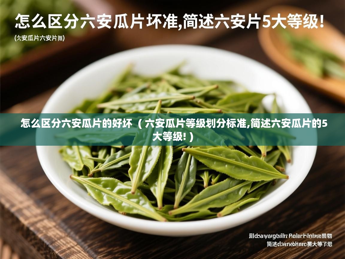  怎么区分六安瓜片的好坏  ( 六安瓜片等级划分标准,简述六安瓜片的5大等级! )