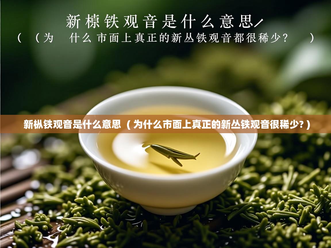  新枞铁观音是什么意思  ( 为什么市面上真正的新丛铁观音很稀少? )