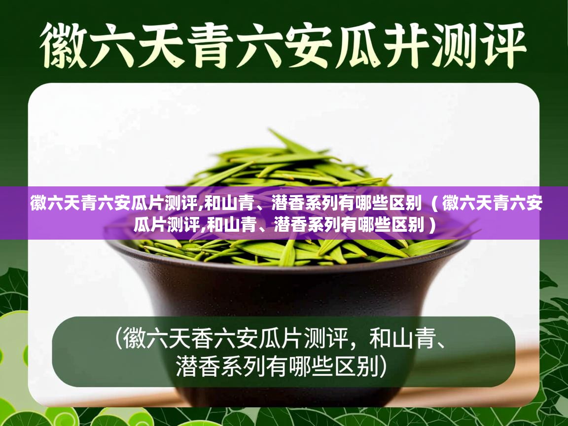 徽六天青六安瓜片测评,和山青、潜香系列有哪些区别 ( 徽六天青六安瓜片测评,和山青、潜香系列有哪些区别 ) 徽六天青六安瓜片测评,和山青、潜香系列有哪些区别 ( 徽六天青六安瓜片测评,和山青、潜香系列有哪些区别 )