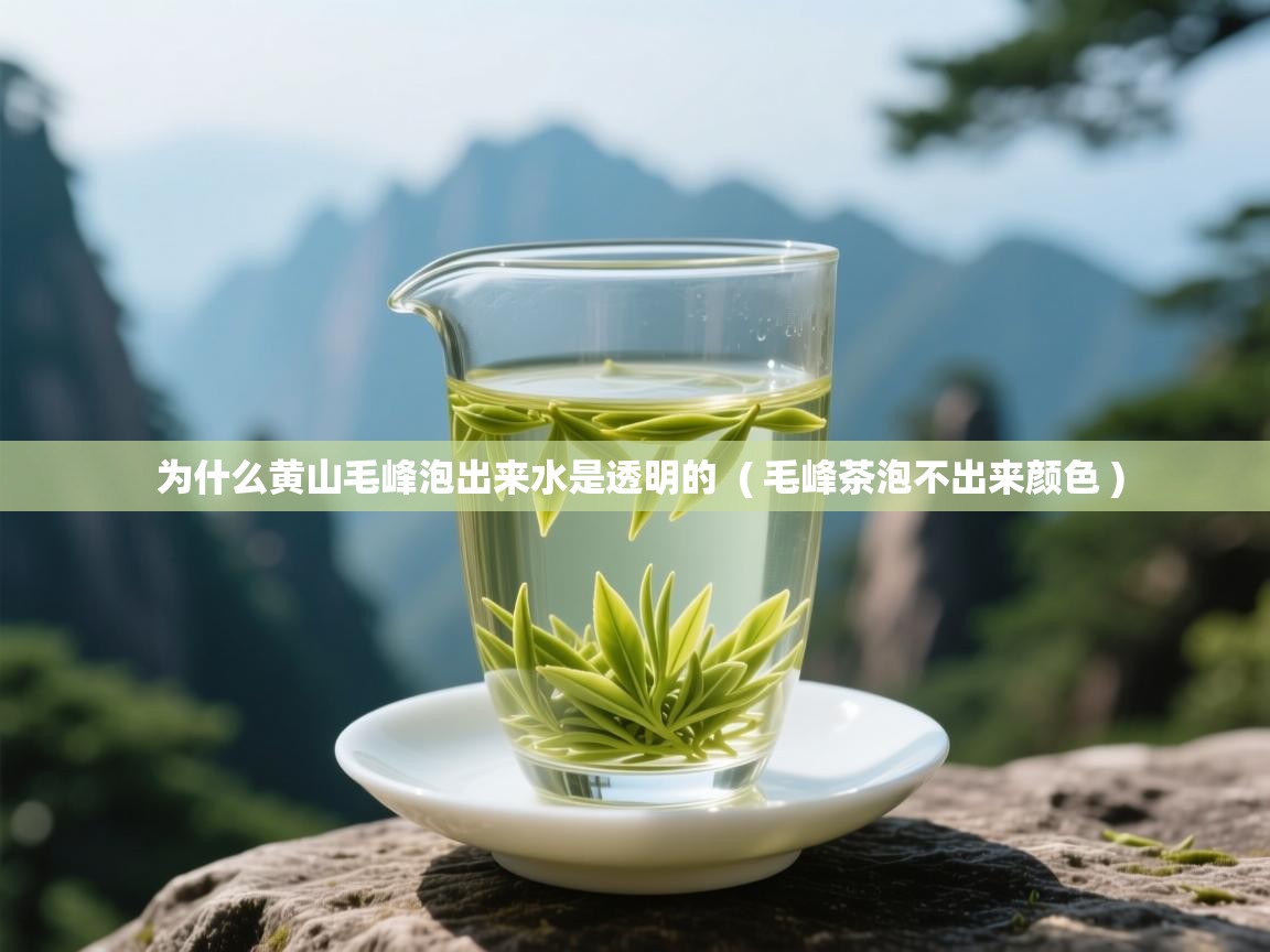 为什么黄山毛峰泡出来水是透明的 ( 毛峰茶泡不出来颜色 ) 为什么黄山毛峰泡出来水是透明的 ( 毛峰茶泡不出来颜色 )