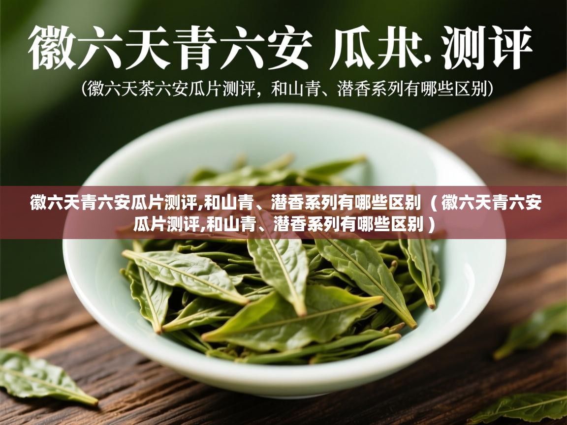 徽六天青六安瓜片测评,和山青、潜香系列有哪些区别 ( 徽六天青六安瓜片测评,和山青、潜香系列有哪些区别 ) 徽六天青六安瓜片测评,和山青、潜香系列有哪些区别 ( 徽六天青六安瓜片测评,和山青、潜香系列有哪些区别 )