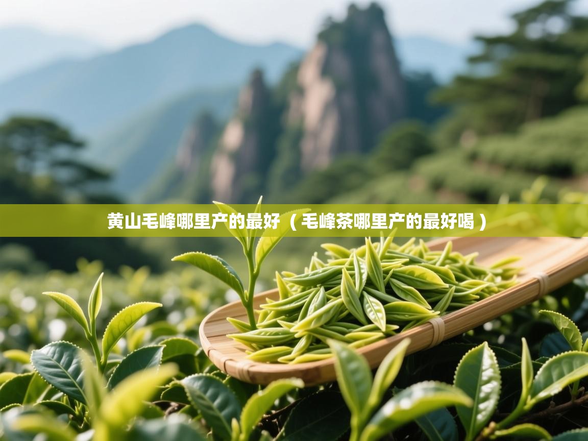 黄山毛峰哪里产的最好 ( 毛峰茶哪里产的最好喝 ) 黄山毛峰哪里产的最好 ( 毛峰茶哪里产的最好喝 )