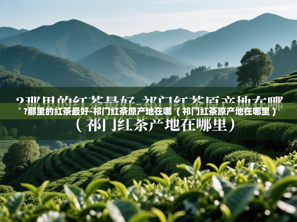  ?那里的红茶最好-祁门红茶原产地在哪  ( 祁门红茶原产地在哪里 )