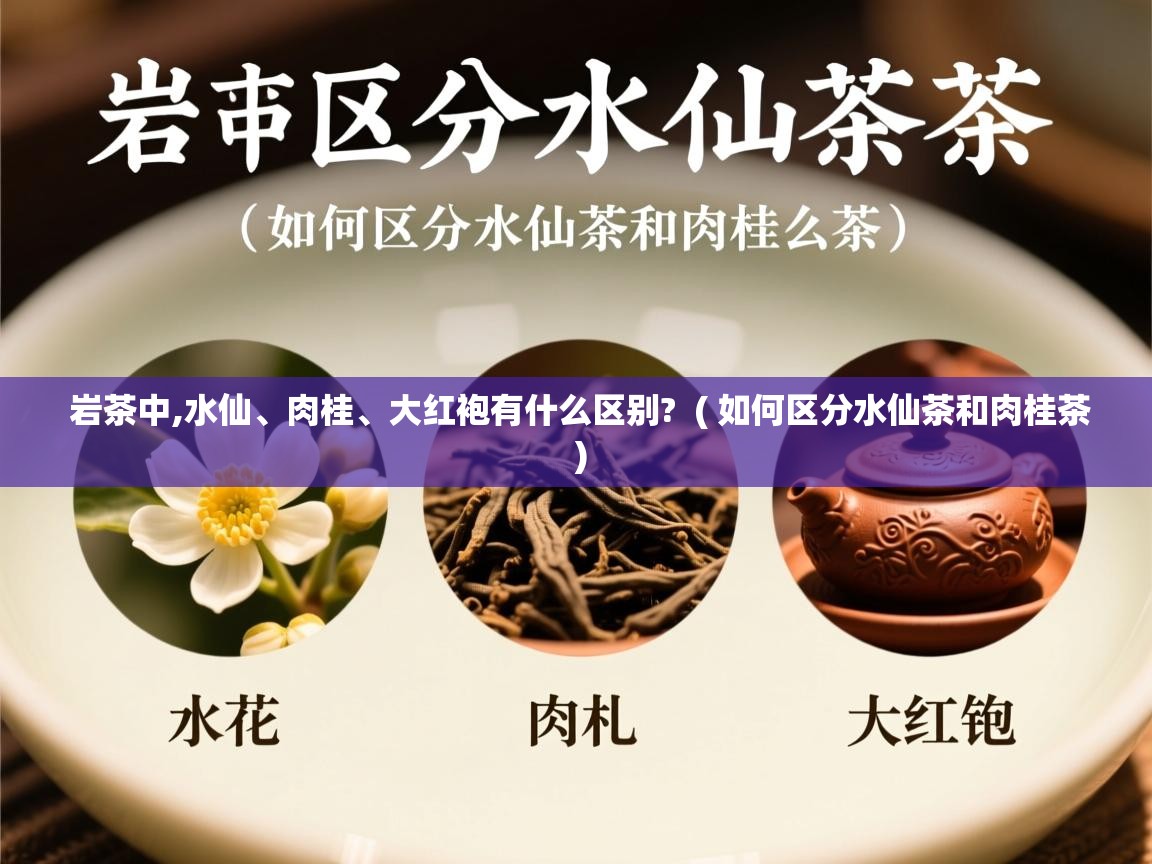 岩茶中,水仙、肉桂、大红袍有什么区别? ( 如何区分水仙茶和肉桂茶 ) 岩茶中,水仙、肉桂、大红袍有什么区别? ( 如何区分水仙茶和肉桂茶 )