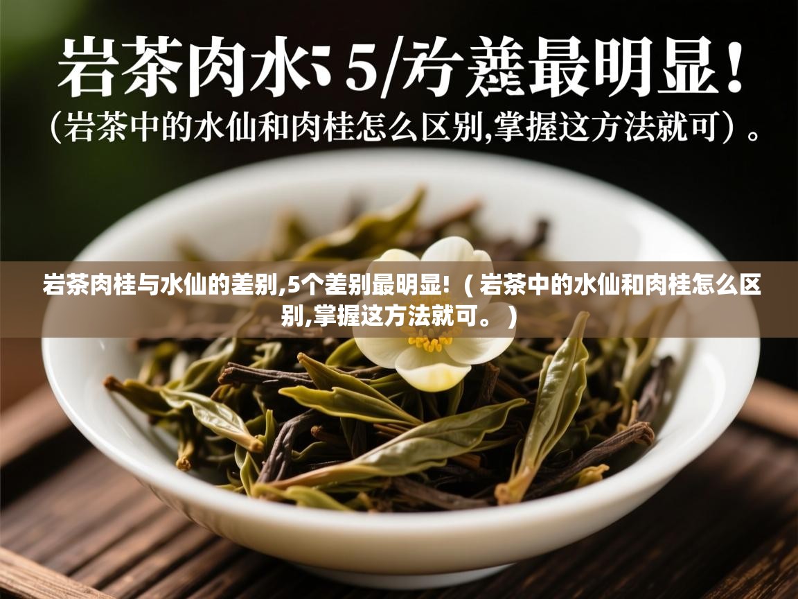 岩茶肉桂与水仙的差别,5个差别最明显! ( 岩茶中的水仙和肉桂怎么区别,掌握这方法就可。 ) 岩茶肉桂与水仙的差别,5个差别最明显! ( 岩茶中的水仙和肉桂怎么区别,掌握这方法就可。 )