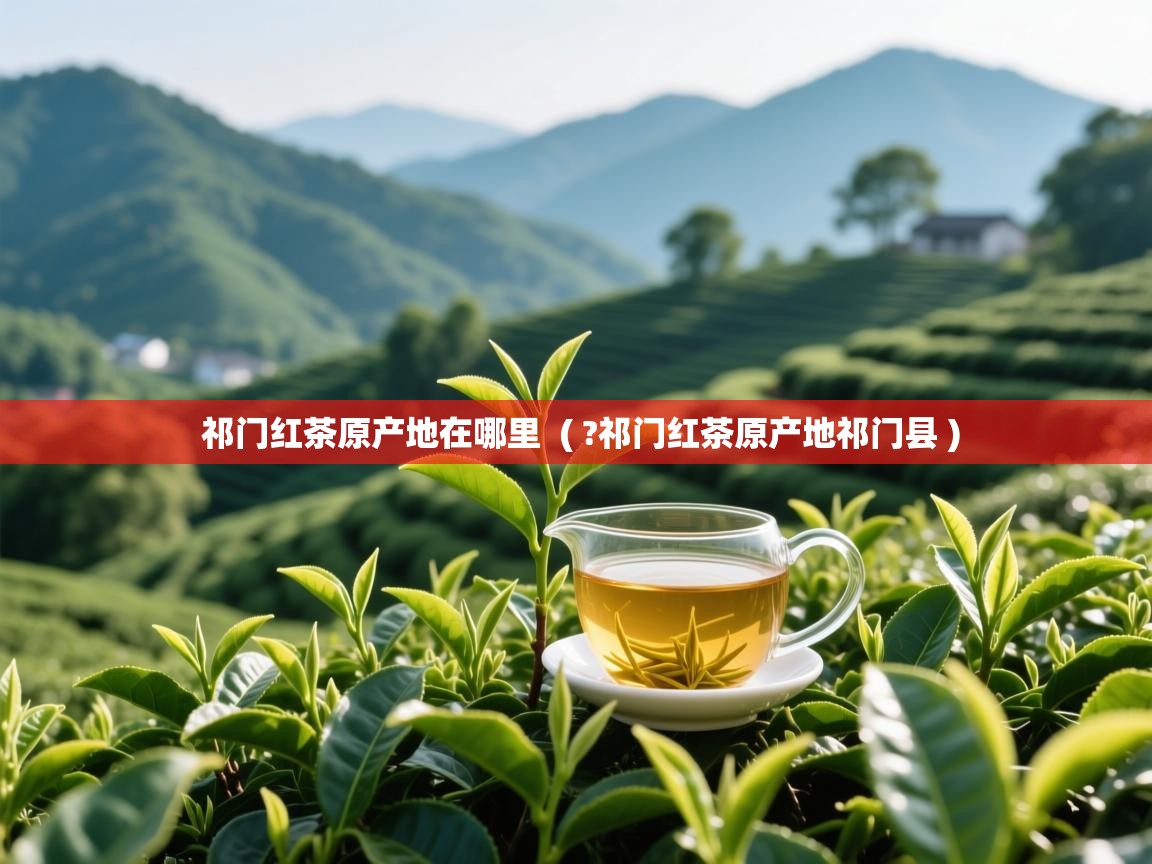 祁门红茶原产地在哪里 ( ?祁门红茶原产地祁门县 ) 祁门红茶原产地在哪里 ( ?祁门红茶原产地祁门县 )