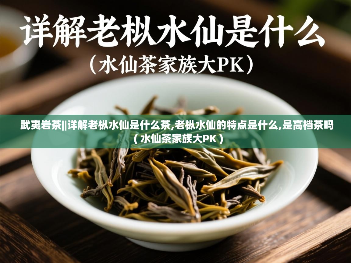 武夷岩茶||详解老枞水仙是什么茶,老枞水仙的特点是什么,是高档茶吗 ( 水仙茶家族大PK ) 武夷岩茶||详解老枞水仙是什么茶,老枞水仙的特点是什么,是高档茶吗 ( 水仙茶家族大PK )