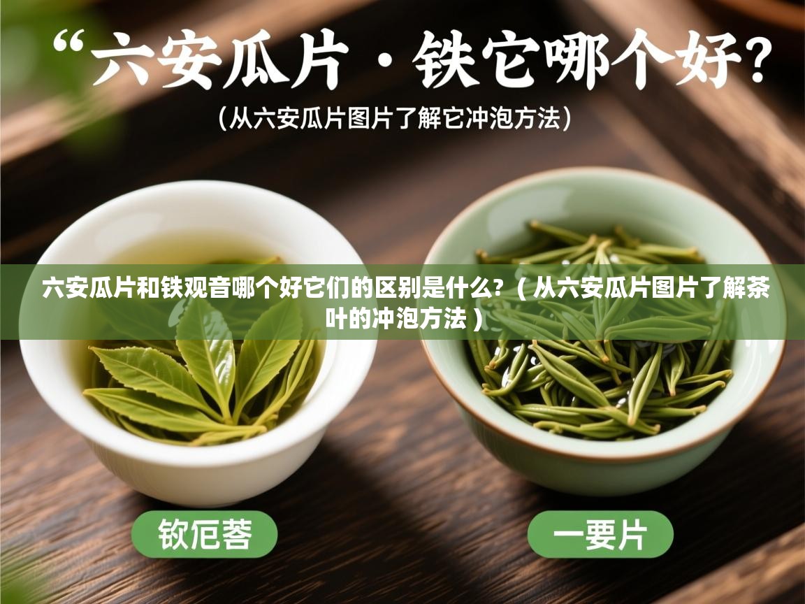 六安瓜片和铁观音哪个好它们的区别是什么? ( 从六安瓜片图片了解茶叶的冲泡方法 ) 六安瓜片和铁观音哪个好它们的区别是什么? ( 从六安瓜片图片了解茶叶的冲泡方法 )