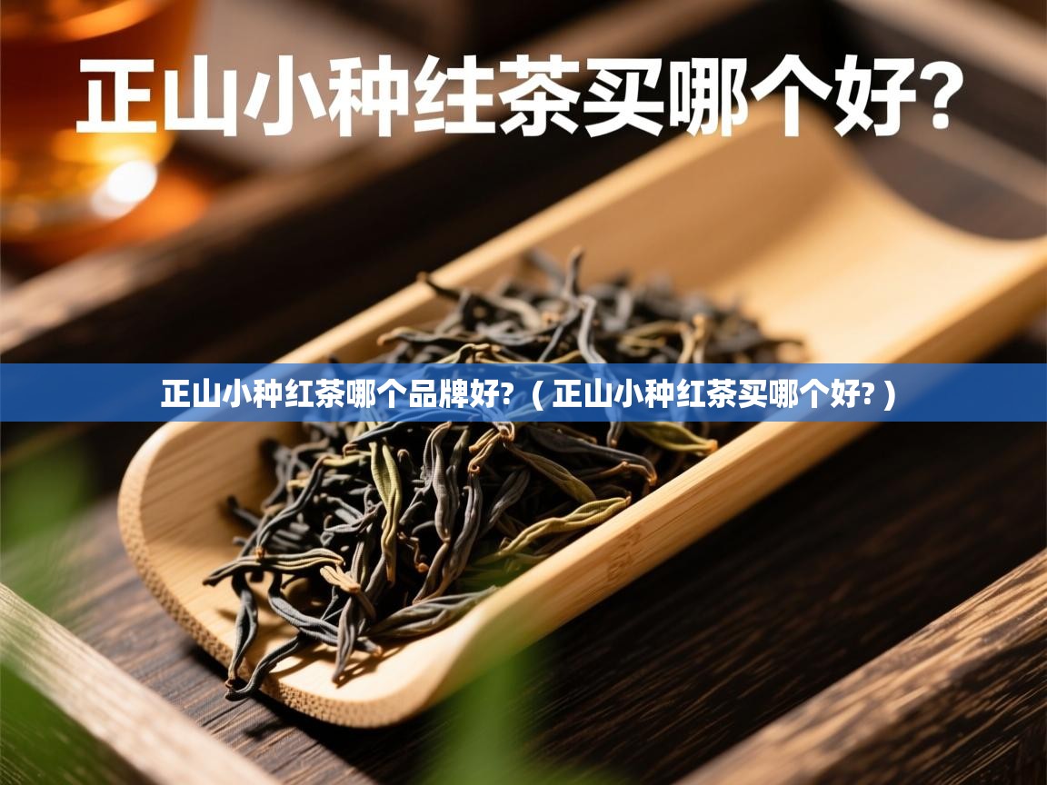  正山小种红茶哪个品牌好?  ( 正山小种红茶买哪个好? )
