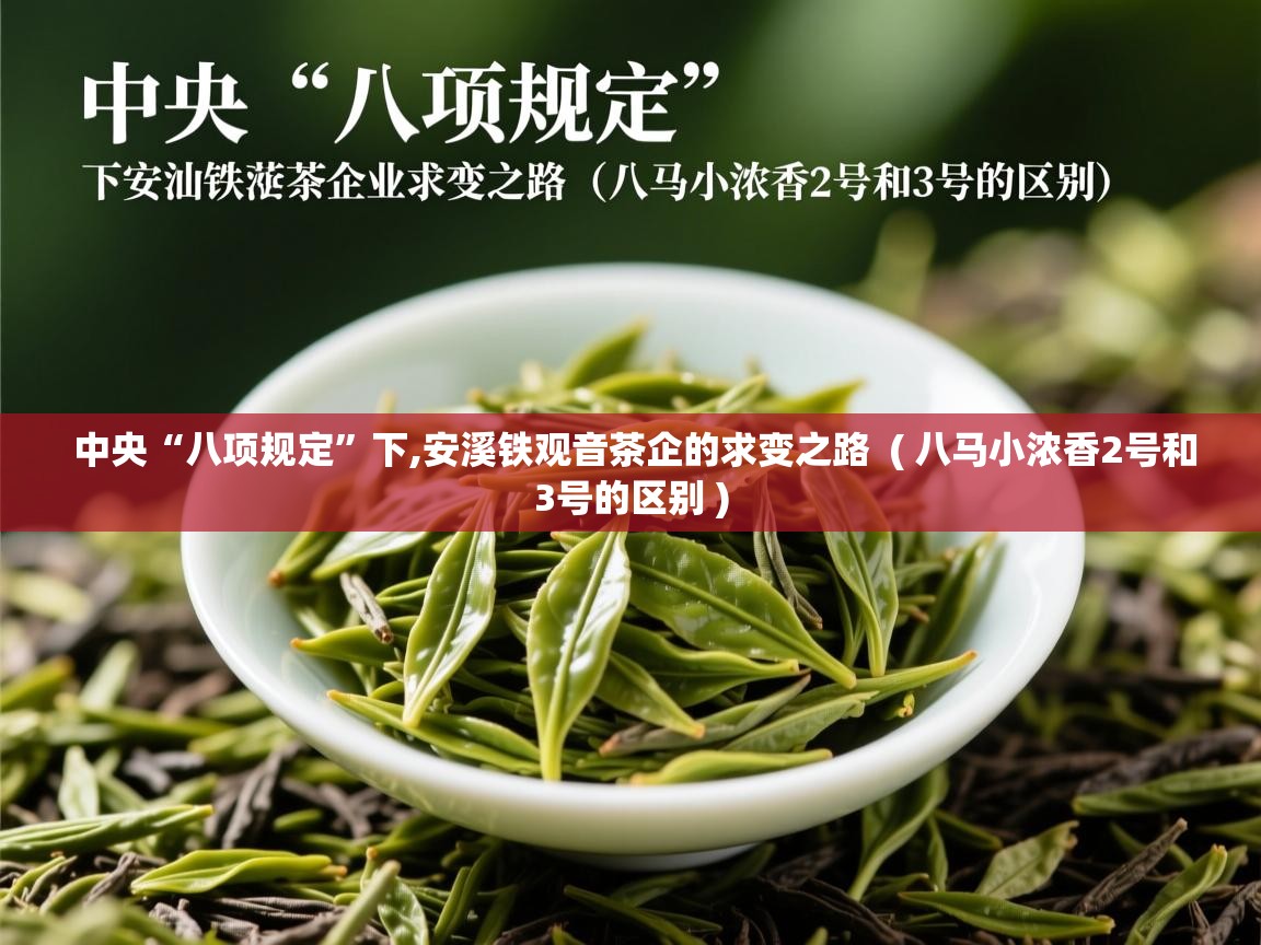  中央“八项规定”下,安溪铁观音茶企的求变之路  ( 八马小浓香2号和3号的区别 )