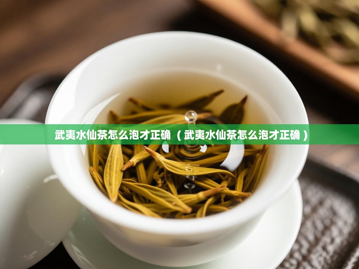 武夷水仙茶怎么泡才正确 ( 武夷水仙茶怎么泡才正确 ) 武夷水仙茶怎么泡才正确 ( 武夷水仙茶怎么泡才正确 )