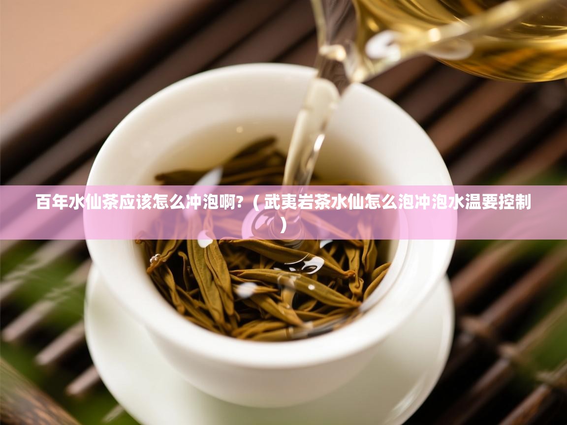  百年水仙茶应该怎么冲泡啊?  ( 武夷岩茶水仙怎么泡冲泡水温要控制 )