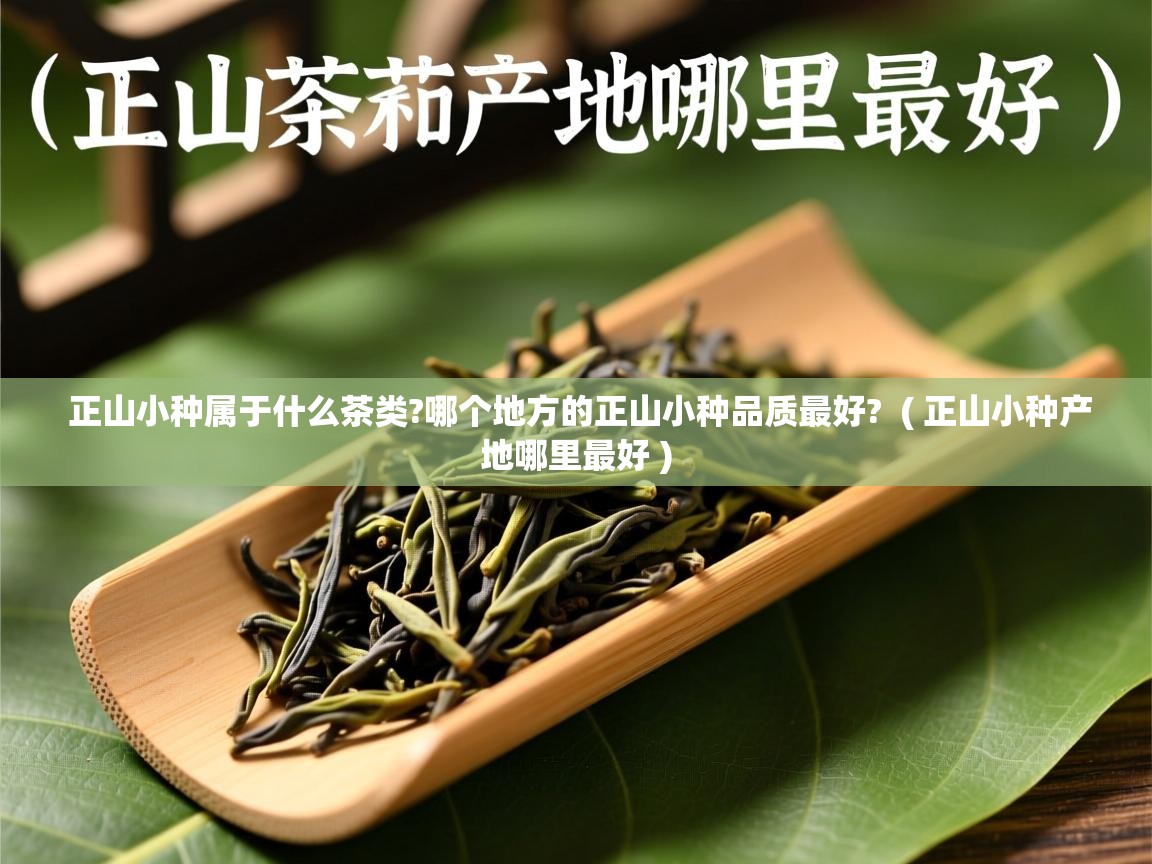  正山小种属于什么茶类?哪个地方的正山小种品质最好?  ( 正山小种产地哪里最好 )