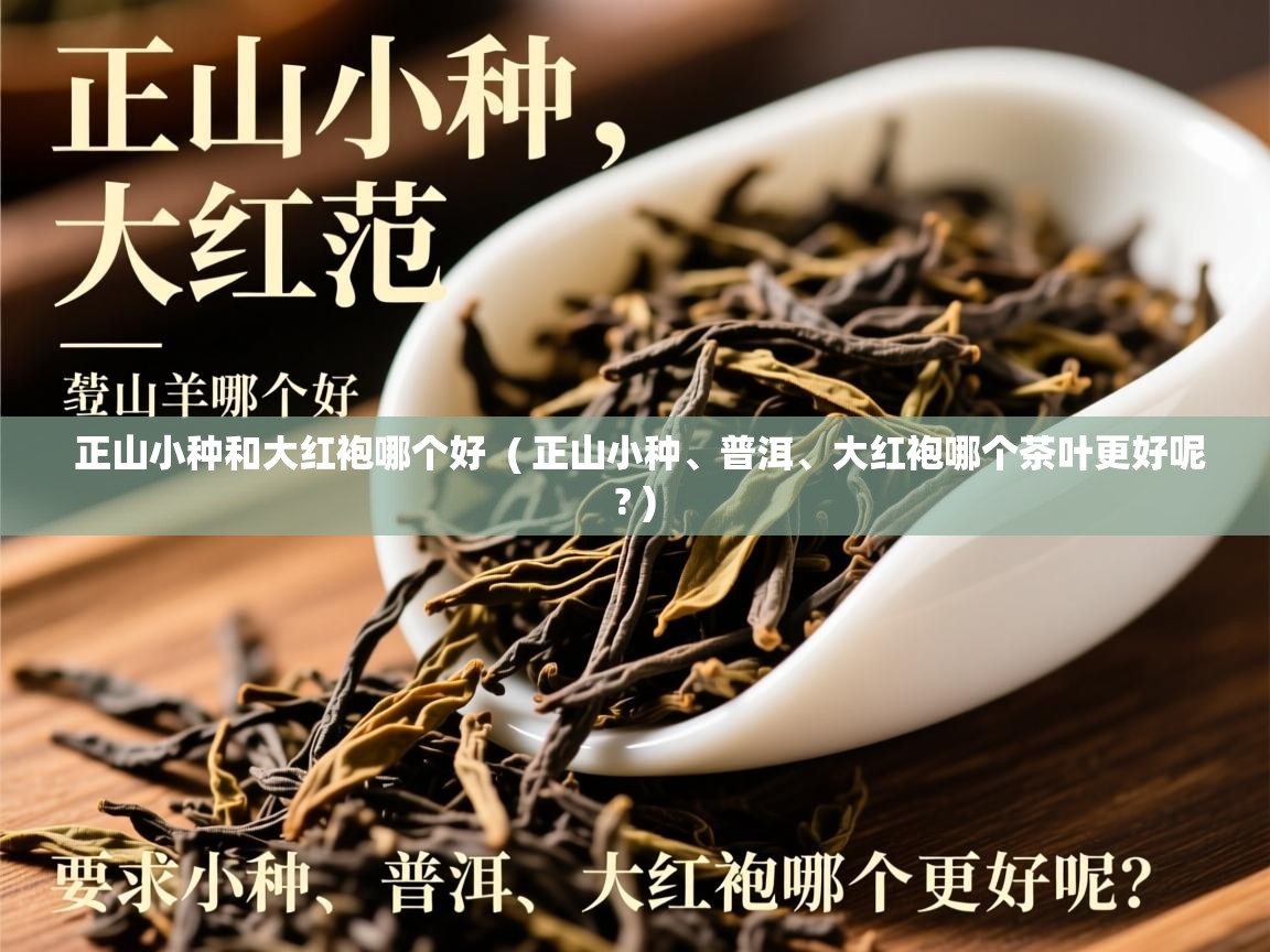 正山小种和大红袍哪个好 ( 正山小种、普洱、大红袍哪个茶叶更好呢? ) 正山小种和大红袍哪个好 ( 正山小种、普洱、大红袍哪个茶叶更好呢? )