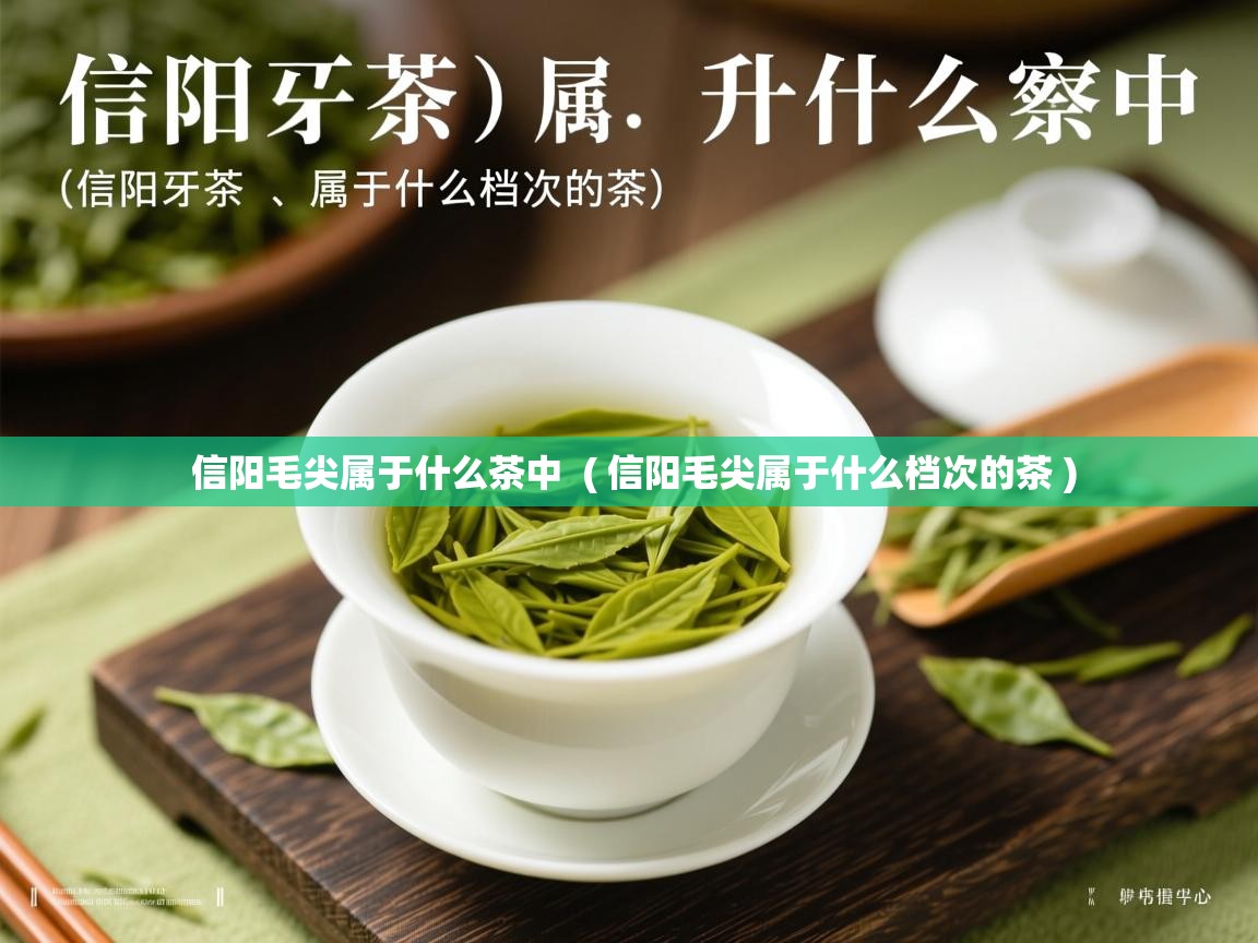  信阳毛尖属于什么茶中  ( 信阳毛尖属于什么档次的茶 )