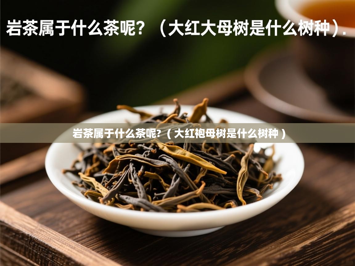  岩茶属于什么茶呢?  ( 大红袍母树是什么树种 )