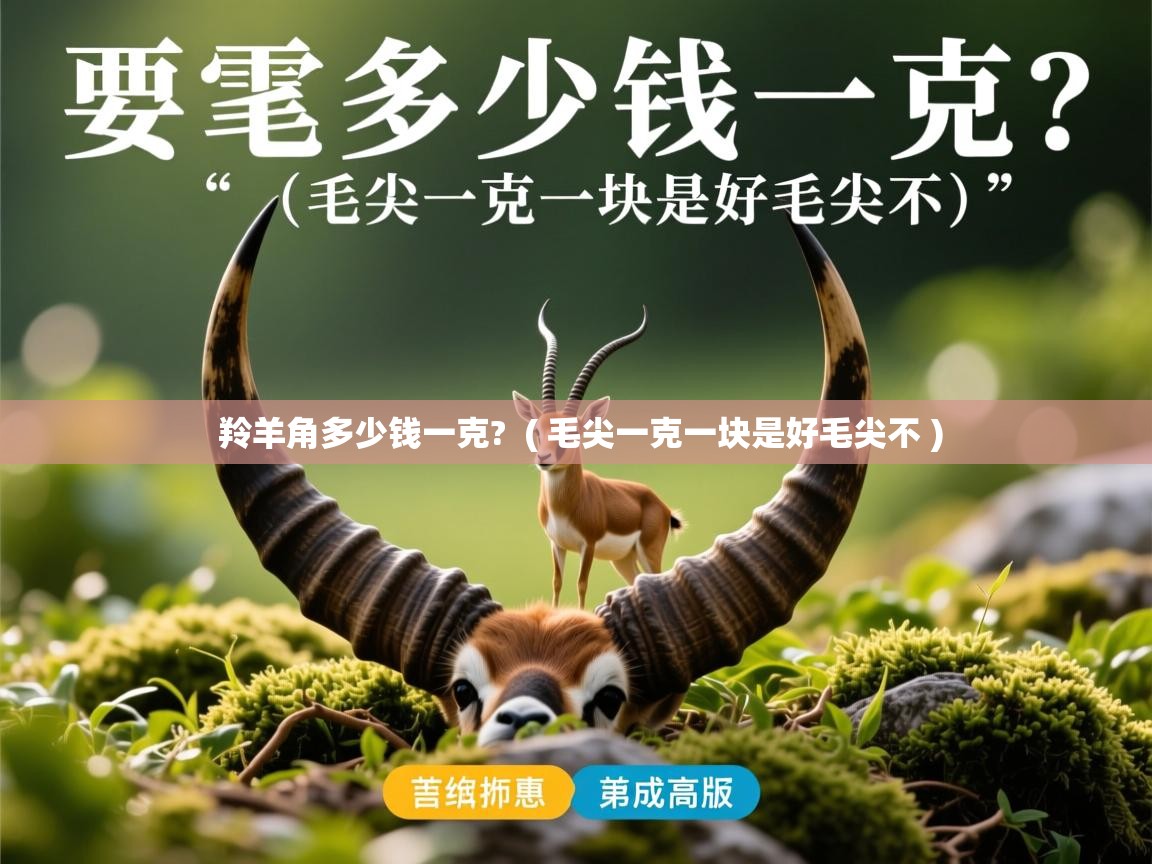 羚羊角多少钱一克? ( 毛尖一克一块是好毛尖不 ) 羚羊角多少钱一克? ( 毛尖一克一块是好毛尖不 )