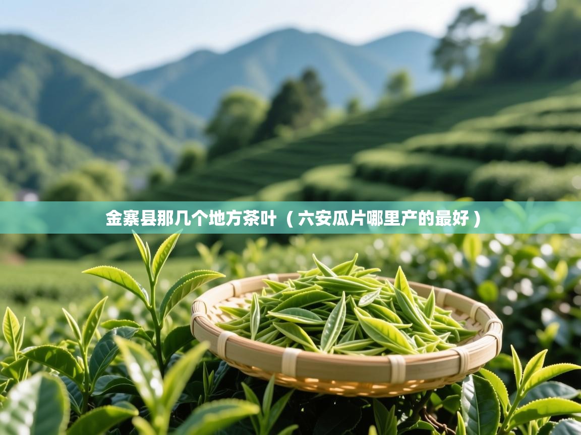 金寨县那几个地方茶叶 ( 六安瓜片哪里产的最好 ) 金寨县那几个地方茶叶 ( 六安瓜片哪里产的最好 )
