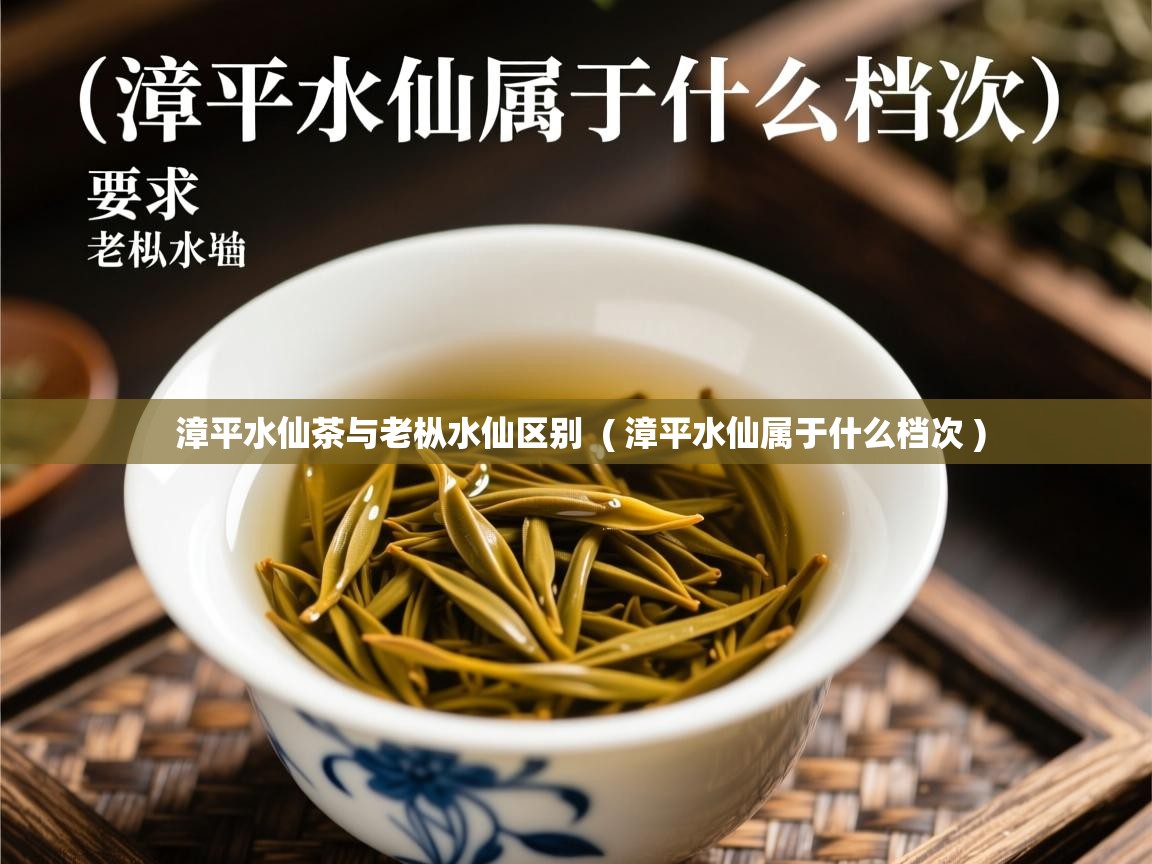 漳平水仙茶与老枞水仙区别 ( 漳平水仙属于什么档次 ) 漳平水仙茶与老枞水仙区别 ( 漳平水仙属于什么档次 )