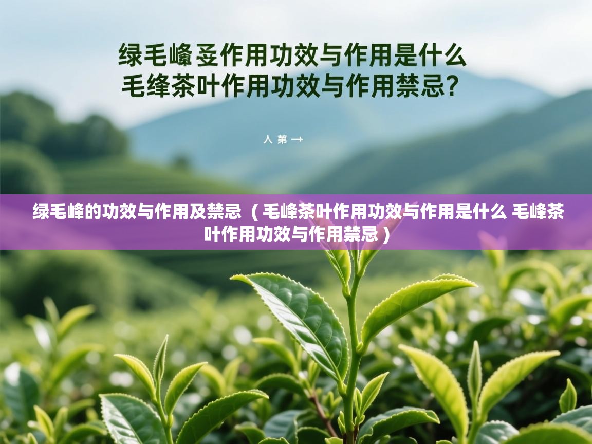  绿毛峰的功效与作用及禁忌  ( 毛峰茶叶作用功效与作用是什么 毛峰茶叶作用功效与作用禁忌 )