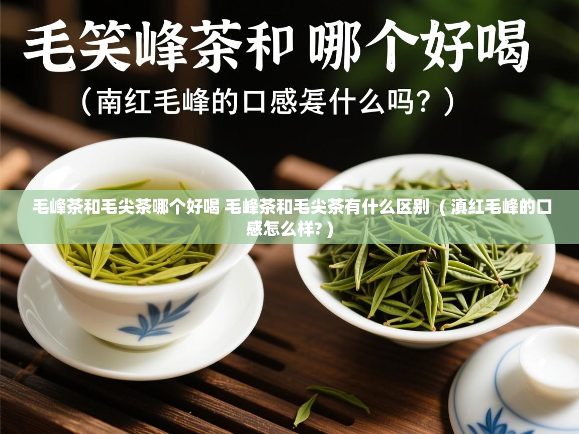  毛峰茶和毛尖茶哪个好喝 毛峰茶和毛尖茶有什么区别  ( 滇红毛峰的口感怎么样? )