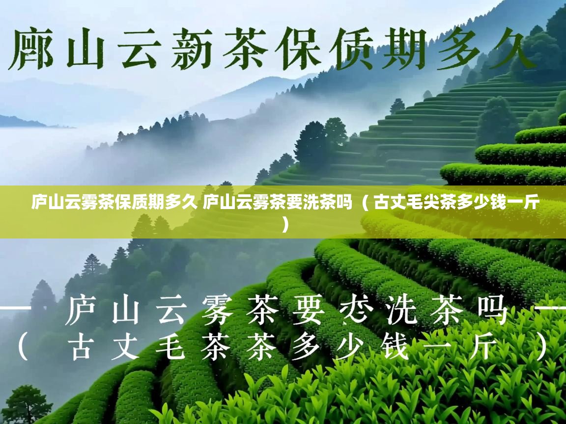  庐山云雾茶保质期多久 庐山云雾茶要洗茶吗  ( 古丈毛尖茶多少钱一斤 )