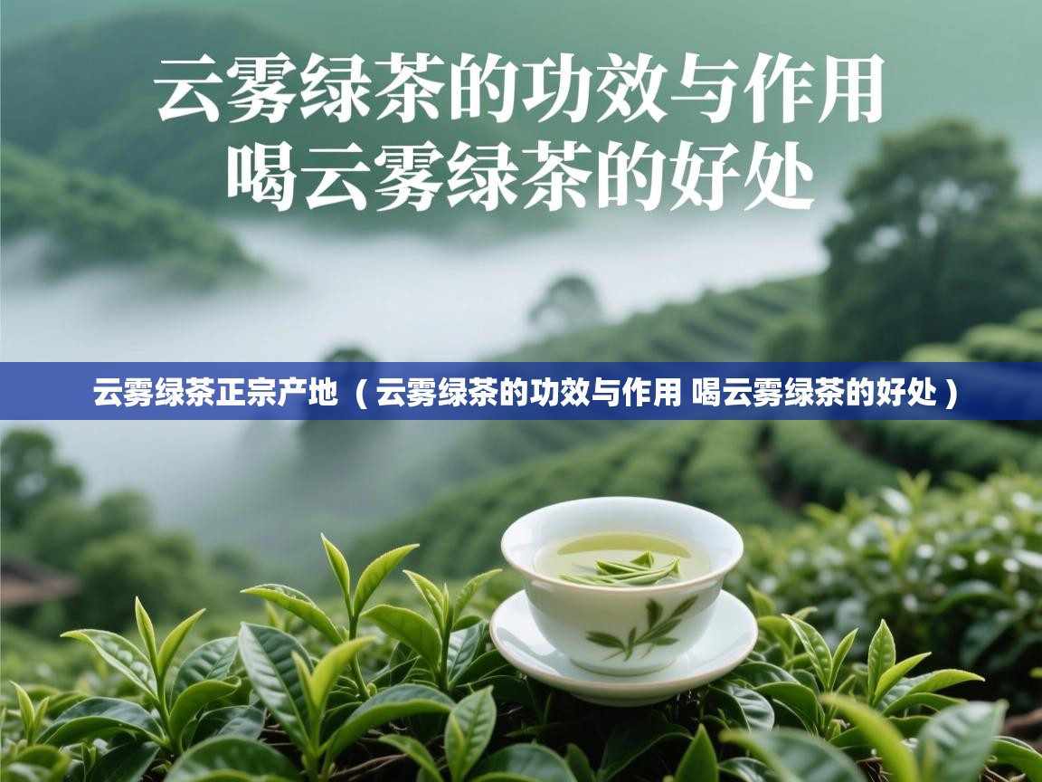 云雾绿茶正宗产地 ( 云雾绿茶的功效与作用 喝云雾绿茶的好处 ) 云雾绿茶正宗产地 ( 云雾绿茶的功效与作用 喝云雾绿茶的好处 )