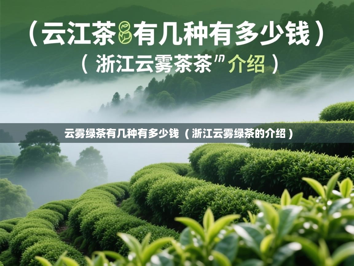  云雾绿茶有几种有多少钱  ( 浙江云雾绿茶的介绍 )