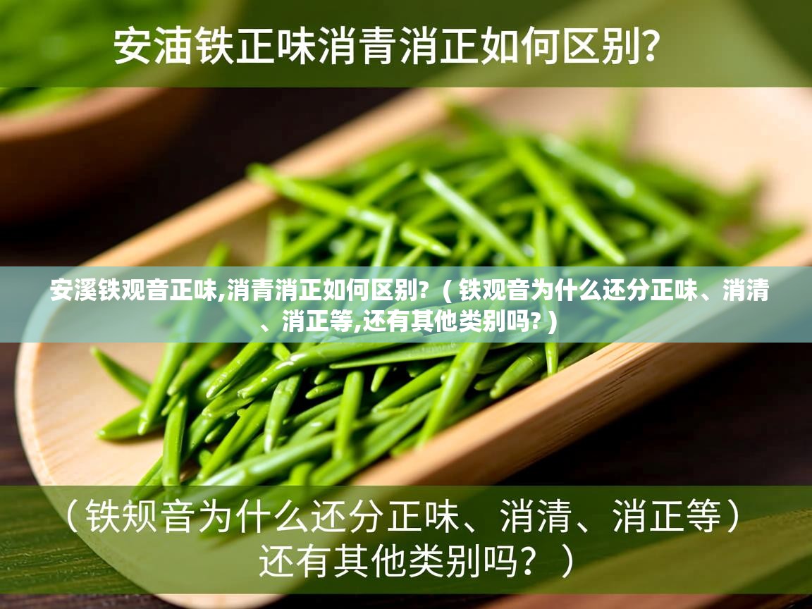  安溪铁观音正味,消青消正如何区别?  ( 铁观音为什么还分正味、消清、消正等,还有其他类别吗? )