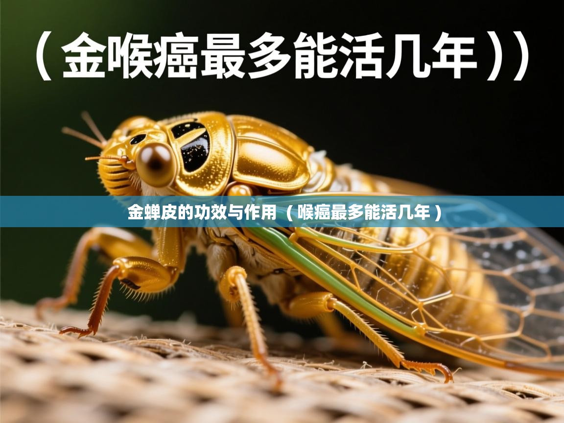 金蝉皮的功效与作用 ( 喉癌最多能活几年 ) 金蝉皮的功效与作用 ( 喉癌最多能活几年 )