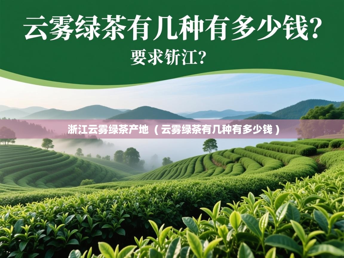 浙江云雾绿茶产地 ( 云雾绿茶有几种有多少钱 ) 浙江云雾绿茶产地 ( 云雾绿茶有几种有多少钱 )