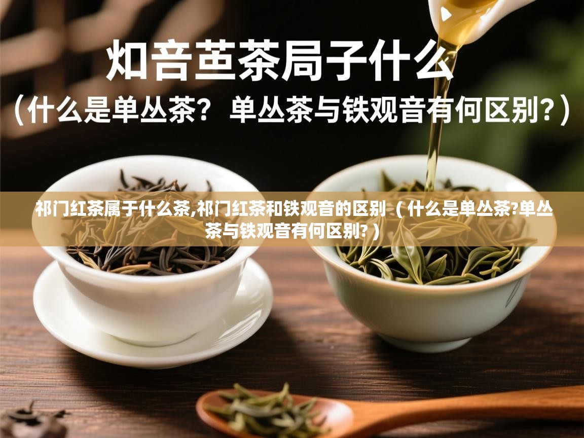  祁门红茶属于什么茶,祁门红茶和铁观音的区别  ( 什么是单丛茶?单丛茶与铁观音有何区别? )