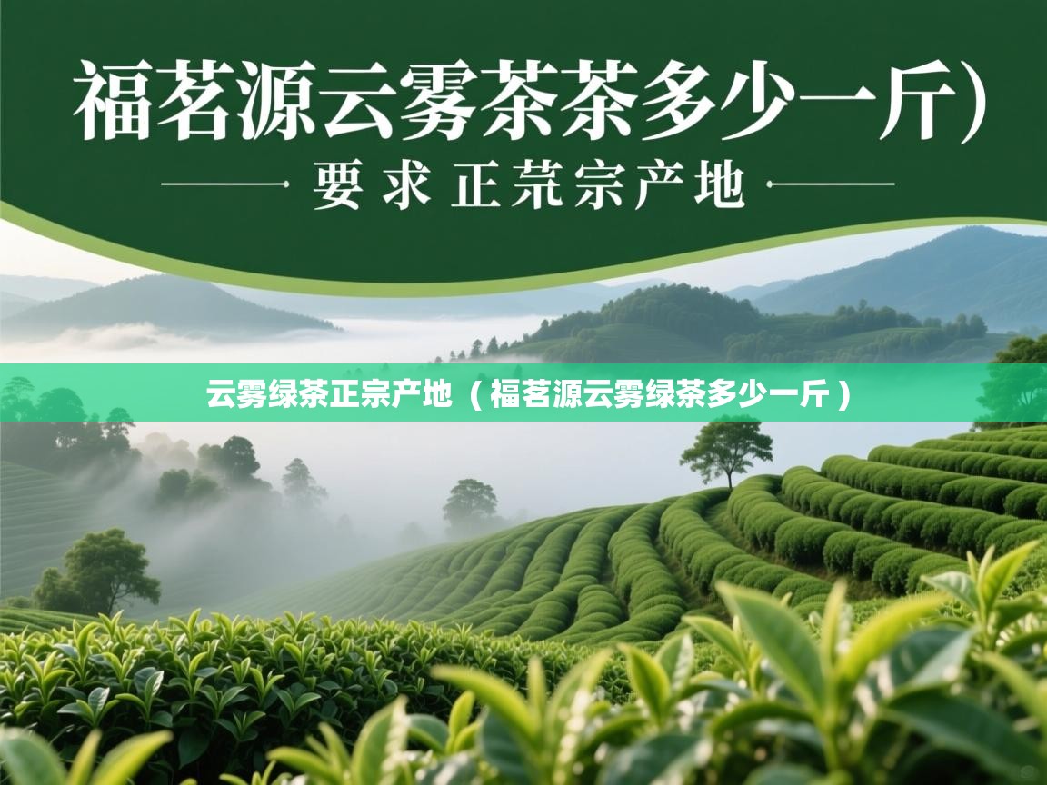  云雾绿茶正宗产地  ( 福茗源云雾绿茶多少一斤 )