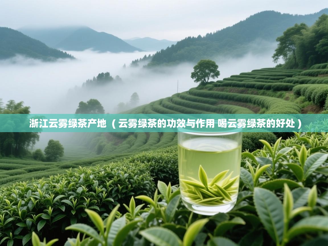  浙江云雾绿茶产地  ( 云雾绿茶的功效与作用 喝云雾绿茶的好处 )