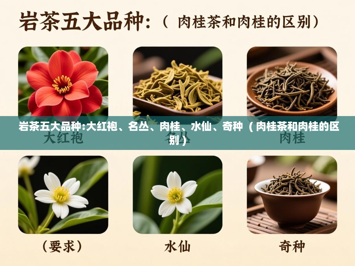 岩茶五大品种:大红袍、名丛、肉桂、水仙、奇种 ( 肉桂茶和肉桂的区别 ) 岩茶五大品种:大红袍、名丛、肉桂、水仙、奇种 ( 肉桂茶和肉桂的区别 )