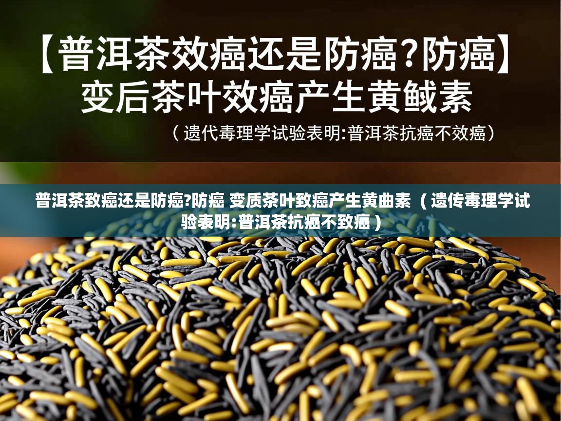  普洱茶致癌还是防癌?防癌 变质茶叶致癌产生黄曲素  ( 遗传毒理学试验表明:普洱茶抗癌不致癌 )