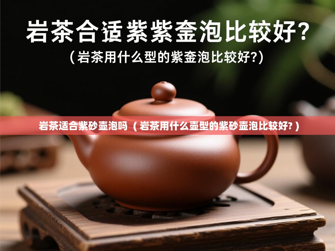  岩茶适合紫砂壶泡吗  ( 岩茶用什么壶型的紫砂壶泡比较好? )