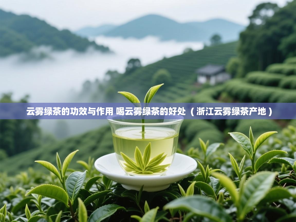 云雾绿茶的功效与作用 喝云雾绿茶的好处 ( 浙江云雾绿茶产地 ) 云雾绿茶的功效与作用 喝云雾绿茶的好处 ( 浙江云雾绿茶产地 )