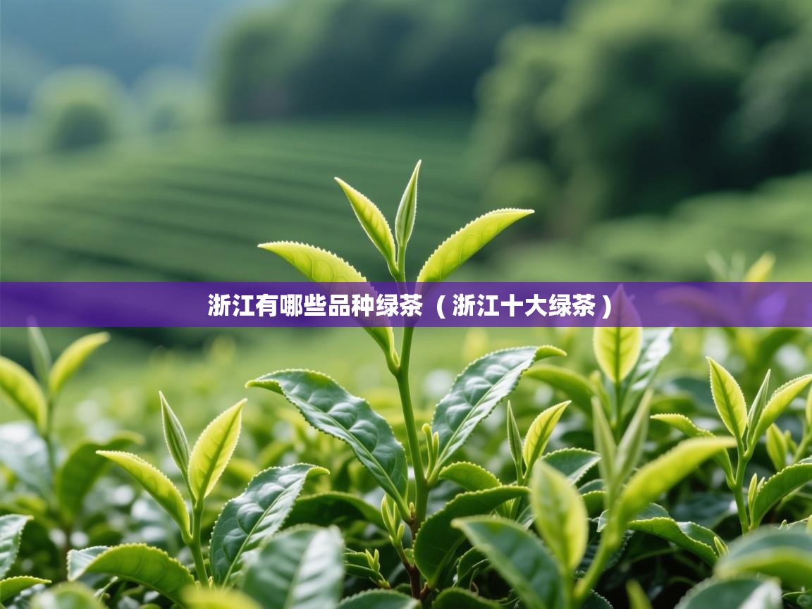  浙江有哪些品种绿茶  ( 浙江十大绿茶 )