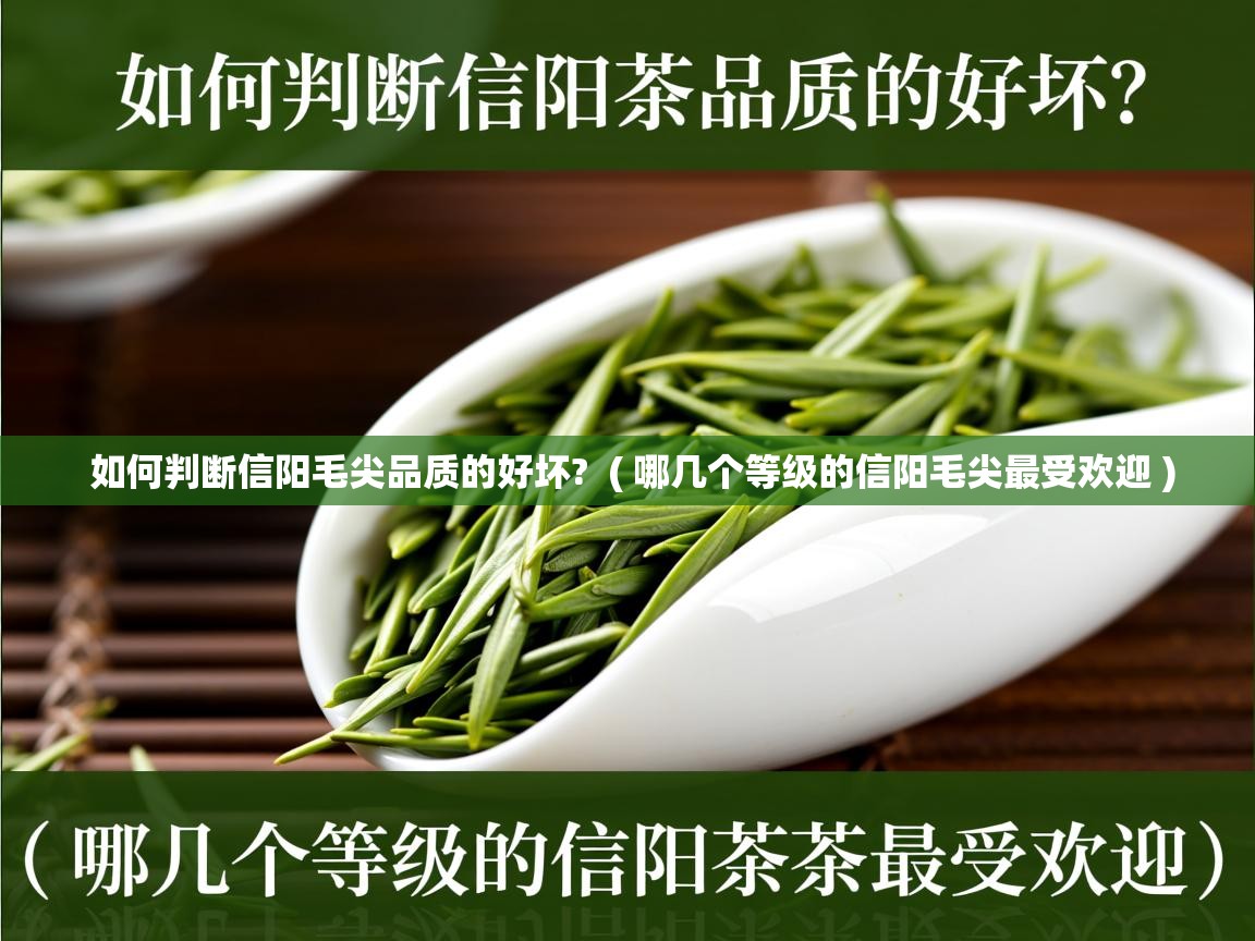 如何判断信阳毛尖品质的好坏? ( 哪几个等级的信阳毛尖最受欢迎 ) 如何判断信阳毛尖品质的好坏? ( 哪几个等级的信阳毛尖最受欢迎 )