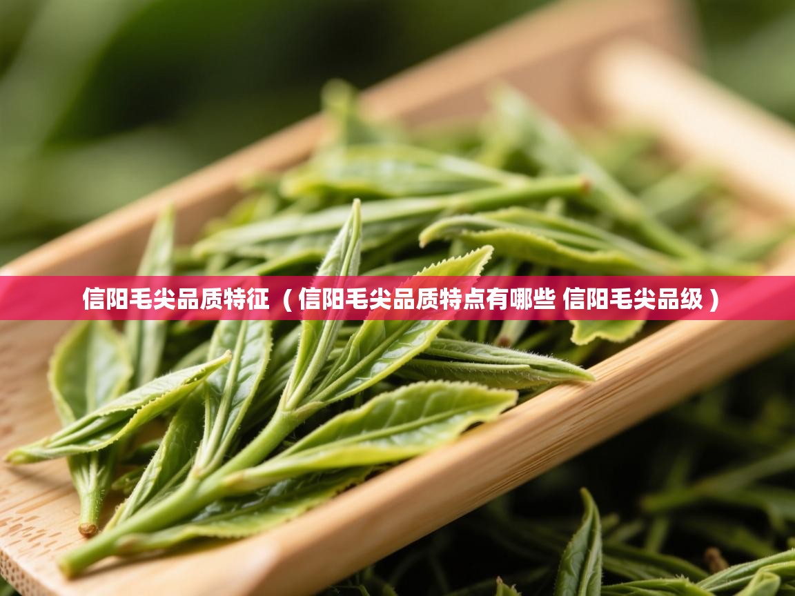 信阳毛尖品质特征 ( 信阳毛尖品质特点有哪些 信阳毛尖品级 ) 信阳毛尖品质特征 ( 信阳毛尖品质特点有哪些 信阳毛尖品级 )
