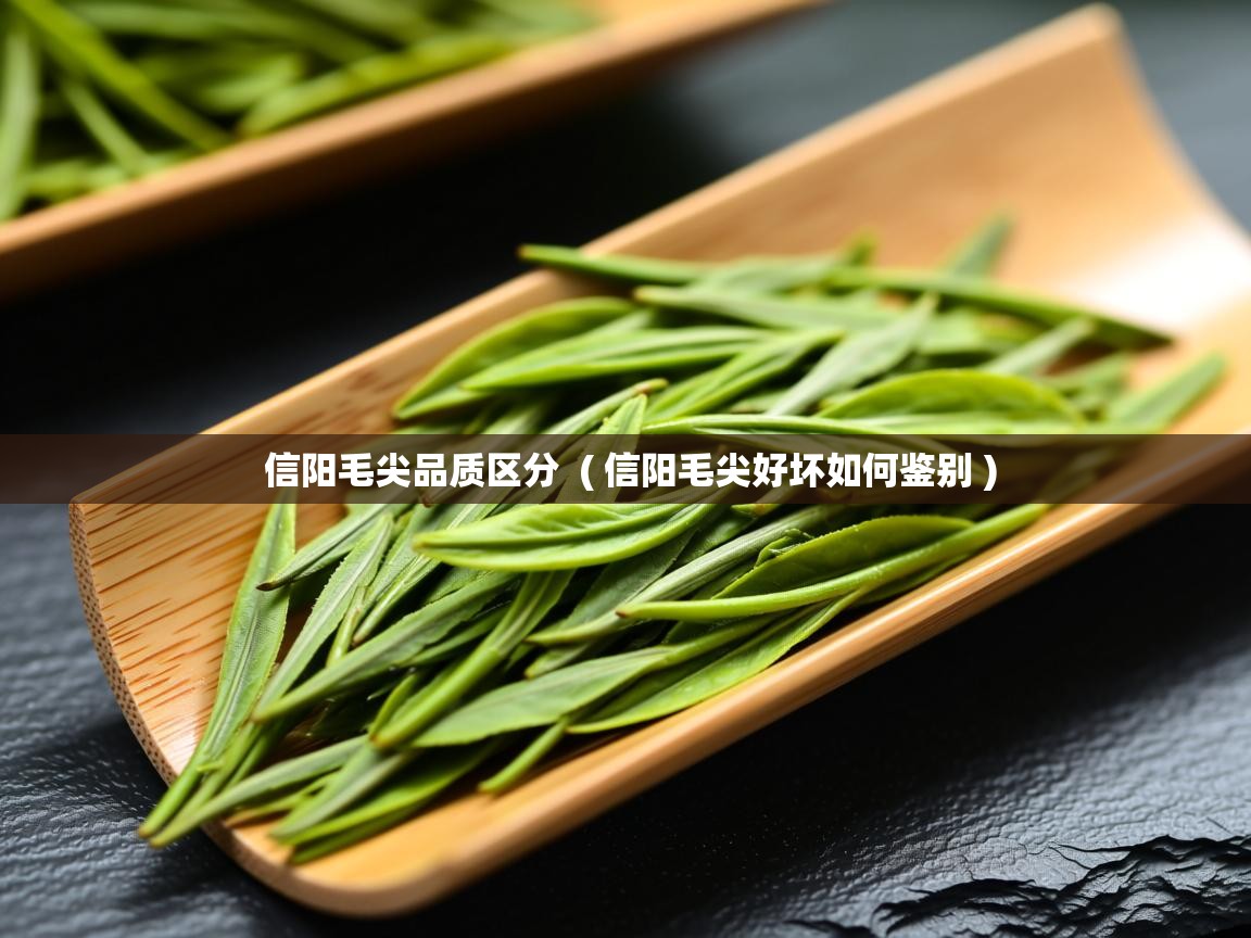  信阳毛尖品质区分  ( 信阳毛尖好坏如何鉴别 )