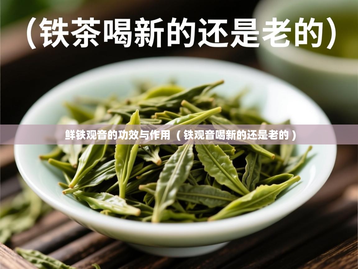  鲜铁观音的功效与作用  ( 铁观音喝新的还是老的 )